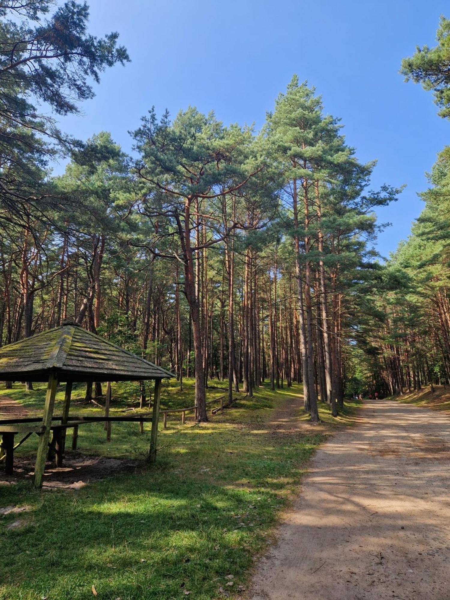 Apartamenty Promyk Wisełka Exterior foto